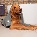 VILEDA Pet Pro Ręcznik z mikrofibry dla zwierząt M 172650