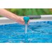 BESTWAY Flowclear Pływający termometr basenowy 58072