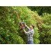 Black & Decker BEHTS501 Nożyce do żywoplotu 230V (60cm/600W)
