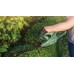 BOSCH EasyHedgeCut 18-45 Aku Sekator do żywopłotów 18V, Bez akumulatora 0600849H03