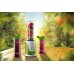 CONCEPT SM3365 Smoothie maker SMOOTHIE TO GO sm3365