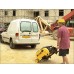 DeWALT D27107 Pilarka ukośnica (2000W/305mm) (230/240V)
