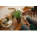 Fiskars Plant Care Nożyczki ogrodowe z ostrym czubkiem i etui, 16 cm 1075315