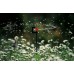 GARDENA Micro-Drip-System Zraszacz rotacyjny 360 ° 2 szt, 1369-29