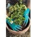 GARDENA Rękawice do sadzenia roślin i pracy z ziemią 10 / XL 0208-20