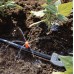 GARDENA Micro-Drip-System - dysza zraszająca (10szt) 8320-29