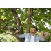 GARDENA TeleCut 650-900 B Nożyce do gałęzi, 65-90 cm 12009-20