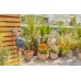 GARDENA Sterownik nawadniania EasyPlus 01897-20