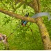GARDENA Nożyce do gałęzi StarCut Pro L – zestaw z piłą (175–400 cm) 12082-20