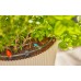 GARDENA MDS Trójnik T 13 mm - 4,6 mm (5 Stz.)13204-20