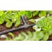 GARDENA MDS T-system rozdzielacz T 4,6 mm 3/16" (10 szt.) 13211-20