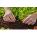 GARDENA MDS T-system rozdzielacz T 4,6 mm 3/16" (10 szt.) 13211-20