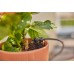 GARDENA MDS Kompletny Zestaw Nawadniający 15 roślin 13401-20