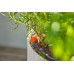 GARDENA MDS Kompletny Zestaw Nawadniający 15 roślin 13401-20
