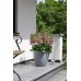 KETER BETON ROUND XL Donica, 53 x 50 cm, ciemny szary 17201496