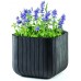 KETER CUBE PLANTER M Doniczka, 29,5 x 29,5 x 29,7 cm, antracyt 17202066