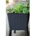 KETER EASY GROW 120L Donica ogrodowa, rattan antracyt 17194592
