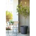 KETER CONIC PLANTER 56,5L Donica, 54 x 48,7 cm, brązowa 17202754