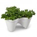 KETER IVY PLANTER doniczka, 41 x 38 x 19,1 cm, jasnoszara 17196813