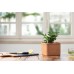 KETER FARM BOX XS Doniczka, 17 x 17 x 13 cm, terakota 17210162