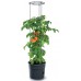 Prosperplast TOMATO GROWER Doniczka do uprawy pomidorów, 29,5cm, antracyt IPOM300