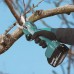Makita DUP181Z Akum. sekator ogrodniczy, ø 30mm, Li-ion LXT 18V, bez aku Z