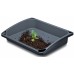 Prosperplast RESPANA GROW TRAY Podstawka 57,6 x 45,6 x 11cm, antracit INTC60