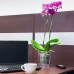 PROSPERPLAST COUBI doniczka pod kwiaty 16 cm, fioletowy przezroczysty matowy DUOW160T