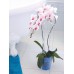 PROSPERPLAST COUBI doniczka na orchidee 1,5l, pomarańczowa DUOW130P