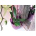PROSPERPLAST COUBI doniczka na orchidee 1,5l, pomarańczowa DUOW130P