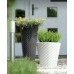 Prosperplast MATUBA Doniczka 60x59,1cm antracyt DBMA600