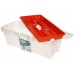 Prosperplast ICECUBE Plastikowa walizka na narzędzia przezroczysta, 398 x 200 x 186 mm N15