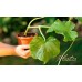 PROSPERPLAST PLASTICA Miska pod doniczką 9,8 cm, terakota PP09