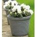 PROSPERPLAST VERA Donica 24l, antracyt DOV40