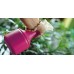 PROSPERPLAST SPRY Rozpylacz 0,6l, zielony ISO06