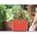 PROSPERPLAST LUCY Torba 24L, mięta ITLU480
