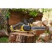 Stanley SFMCCS730B FatMax V20 Bezszczotkowa piła łańcuchowa 30cm (18V/bez aku i ładowarki)