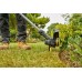 Stanley SFMCST925B FatMax V20 Podkaszarka żyłkowa (25cm/18V/bez akumulatora i ładowarki)