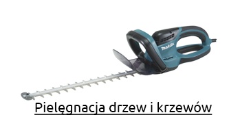 pielegnacja-drzew-i-krzewow